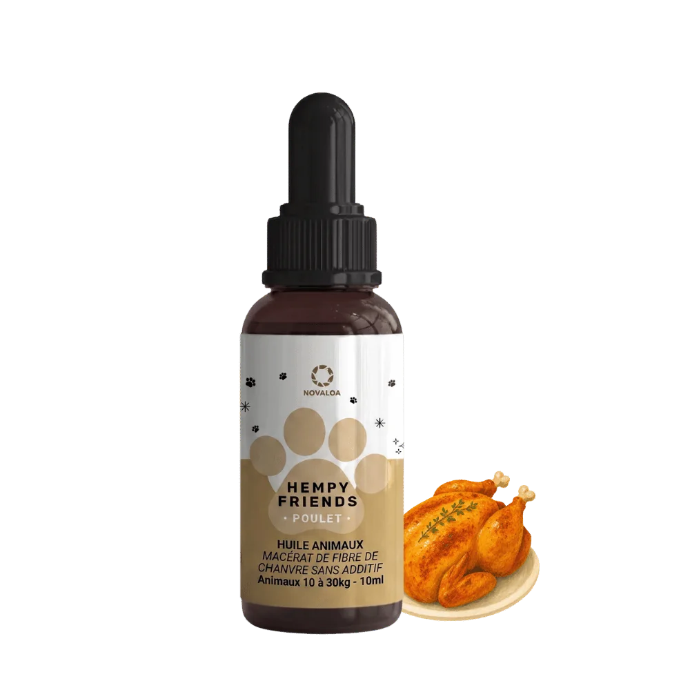 Huile de chanvre animaux 3% poulet | NOVALOA Huile de chanvre animaux 3% poulet | NOVALOA