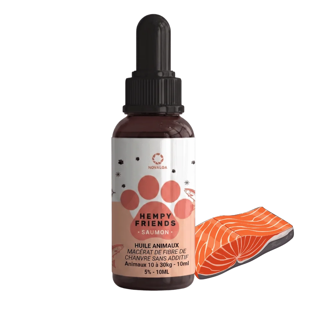 Huile de chanvre animaux 5% saumon | NOVALOA Huile de chanvre animaux 5% saumon | NOVALOA