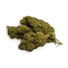 Fleur de CBD - LEMON HAZE