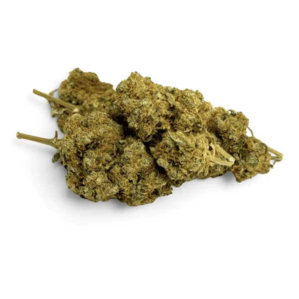 Fleur de CBD Orangello Indoor