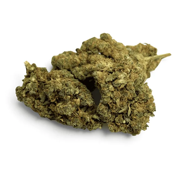 Fleur de CBD Plutonium Indoor