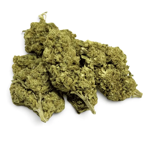 Fleur de CBD Great White Shark Greenhouse