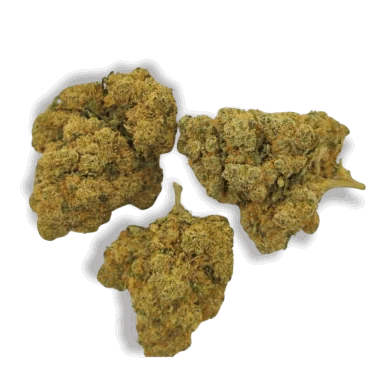 Fleur CBD Buddha Fruit Premium - Indoor