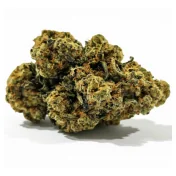 Fleur CBD Juicy Fruit - Indoor