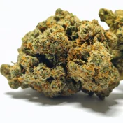 Fleur CBD Buddha Fruit Premium - Indoor