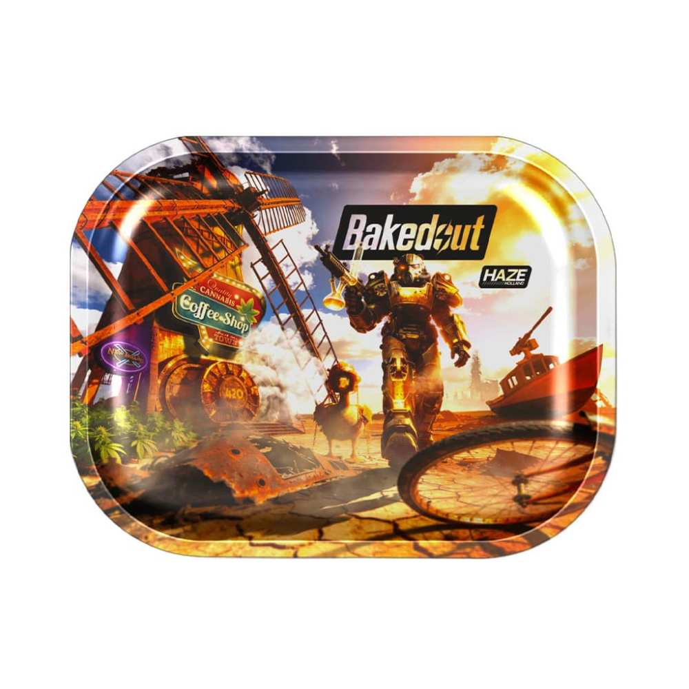 Face du plateau Bakedout Small, armure, feu et oie sur le petit format Face du plateau Bakedout Small, armure, feu et oie sur le petit format