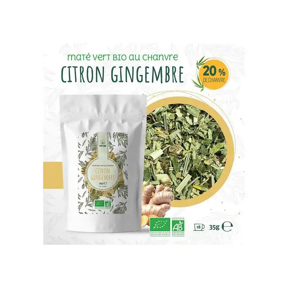 maté vert citron gingembre