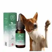 Huile de CBD chien