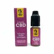 E-liquide INFUSION BAIES SAUVAGE au CBD 300mg - 10ml