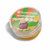 Baume à lèvres MANGO 1% CBD