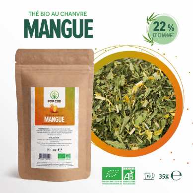 Infusion chanvre MANGUE
