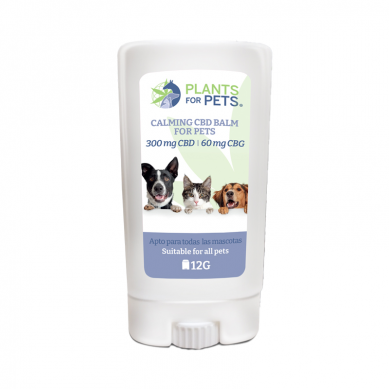 Huile CBD pour Chien 10% » Chanvre Bio & Qualité Premium #CBDSOL