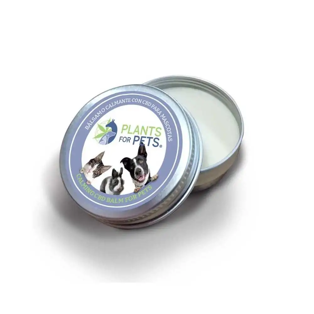 Baume apaisant pour chiens au CBD