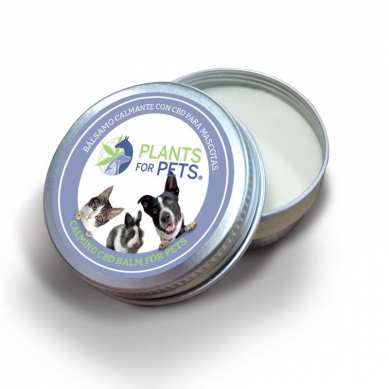 Baume apaisant pour chiens au CBD