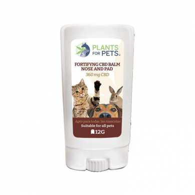 Baume fortifiant pour animaux au CBD plants fot pets