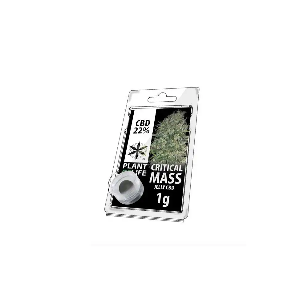 JELLY AU CBD 22% CRITICAL MASS