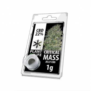 JELLY AU CBD 22% CRITICAL MASS