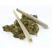 Pré-roulé à d'H4CBD - AMNESIA