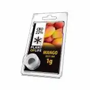 JELLY CBD FRUIT 22% Mango
