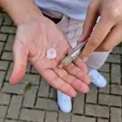 Pré-roulé à d'H4CBD - AMNESIA