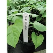Étiquettes Blanches pour Plantes 15cm lot de 50