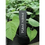 Étiquettes en ardoise pour plantes 13 cm Lot de 5