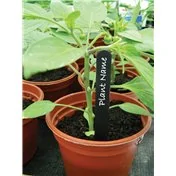 Étiquettes pour Plantes Noires 10cm lot
