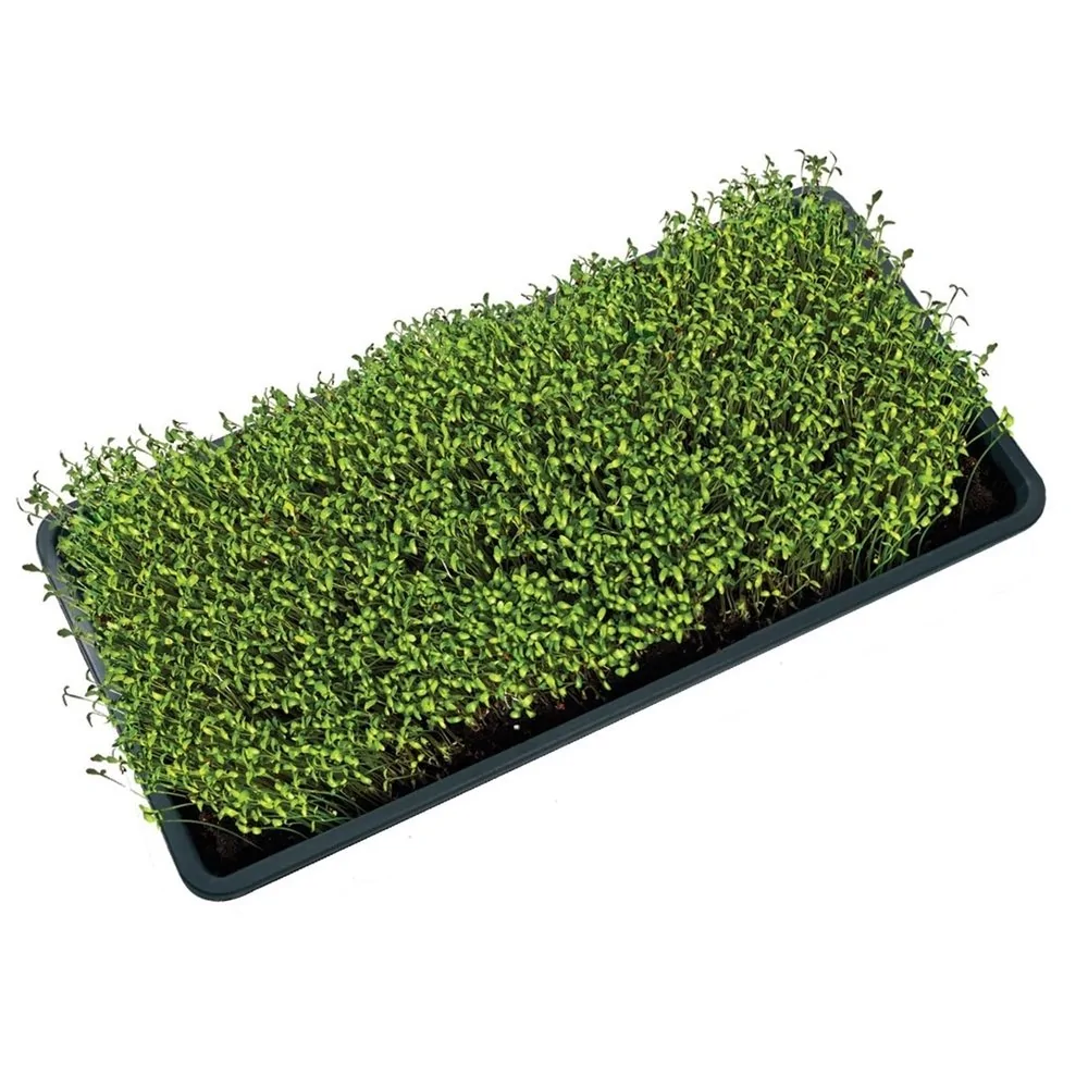 Sperli Recharges Pour Kit De Culture MicroGreen