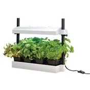 Lampe de Culture Micro Grow Light Jardin Blanc