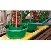 Halos de Plantes (Ensemble de 3) Vert