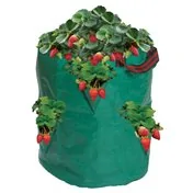 Sac de fraises/herbes