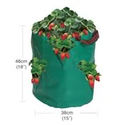 Sac de fraises/herbes