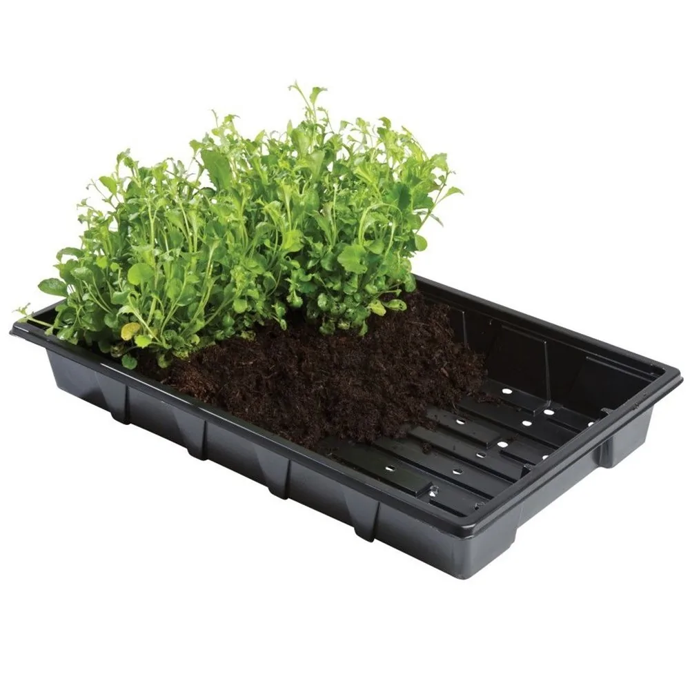 Lot De 5 Bacs à Germination - 32,5x23,5x5 Cm - Pour Faire Pousser Des Graines Germées (alfalfa, Haricot Mungo...) - 9
