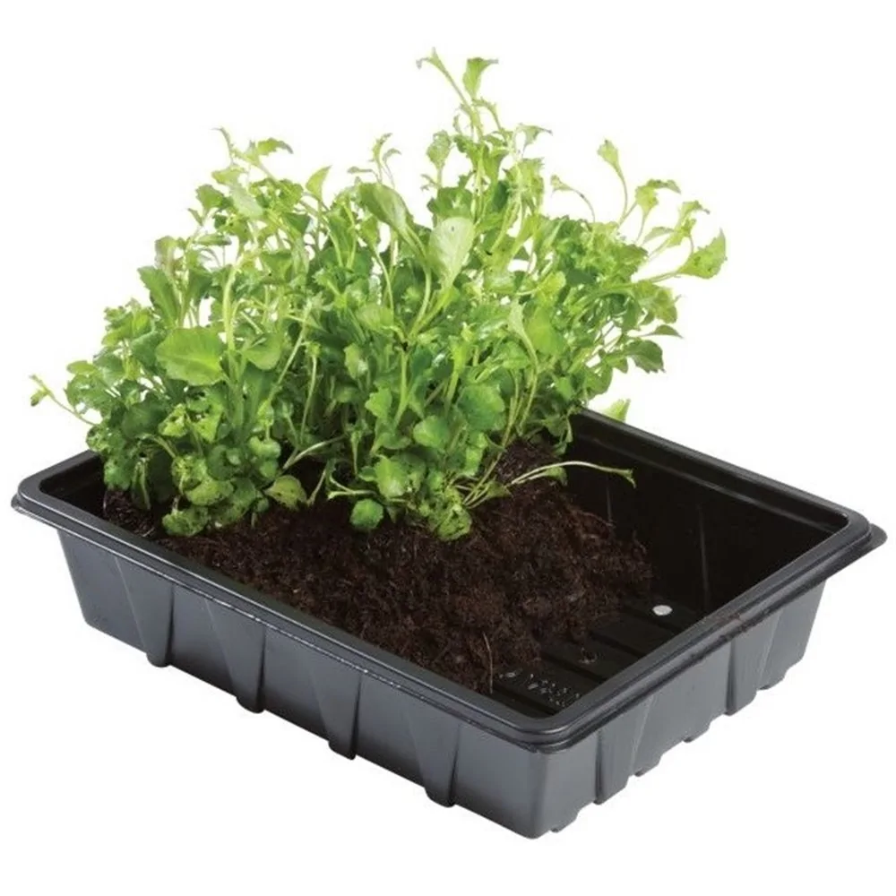 Pot De Germination,Pot De Propagation De Plantes D'intérieur,bouchons