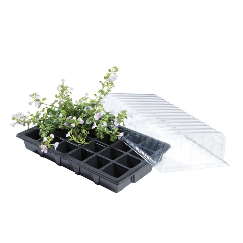 Mini serre Propagator