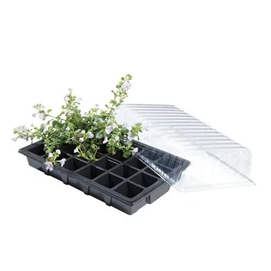 Mini serre Triple Pack Propagator