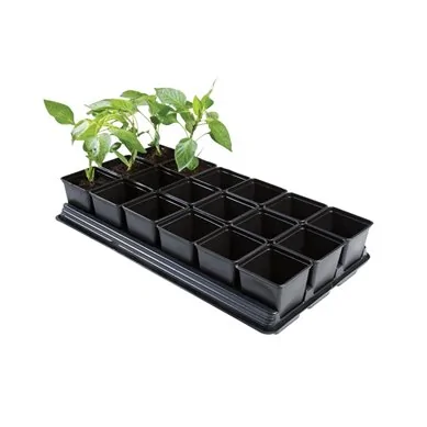 Bac à légumes professionnel (pots carrés de 18 x 9 cm)