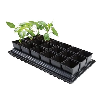 Ensemble de bacs à légumes professionnels (pots carrés de 18 x 9 cm, plateau, bac à eau et tapis de protection)