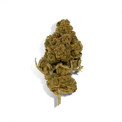 LIMONCELLO Fleur de CBD