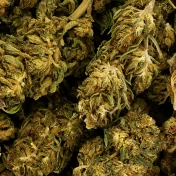 Natural weed