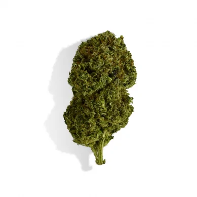Fleur de CBD la plus forte, BUBBLE