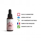 Macérât huileux saumon CBD pour ANIMAUX - CBD BIO FRANÇAIS