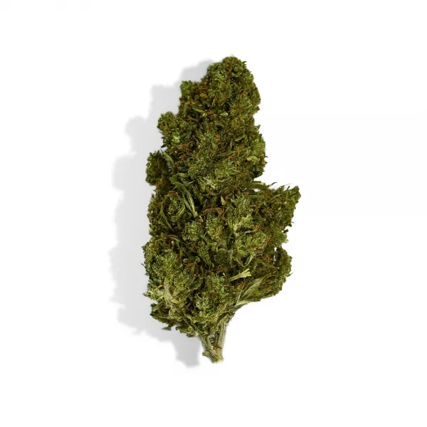 Fleur de CBD WATERMELON