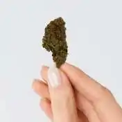 Fleur H4CBD 20% BERRY