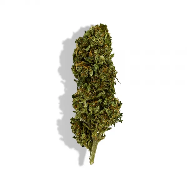 Fleur de CBD CHERRY, GREENHOUSE
