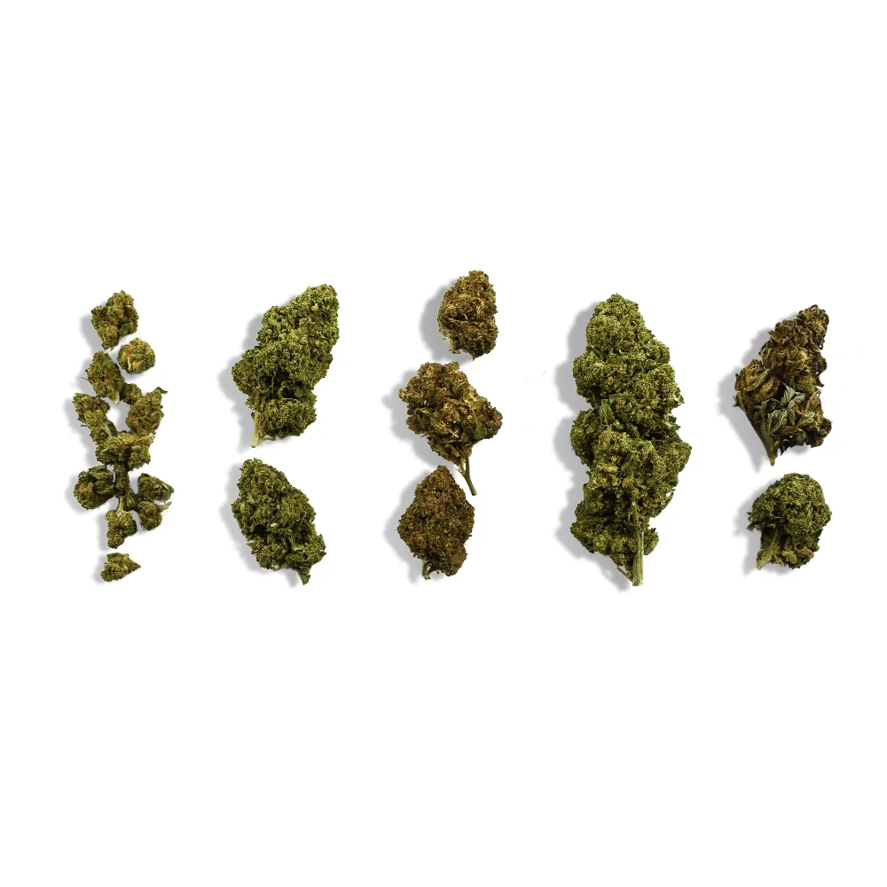 Pack découverte de 5 variété CBD 10gr