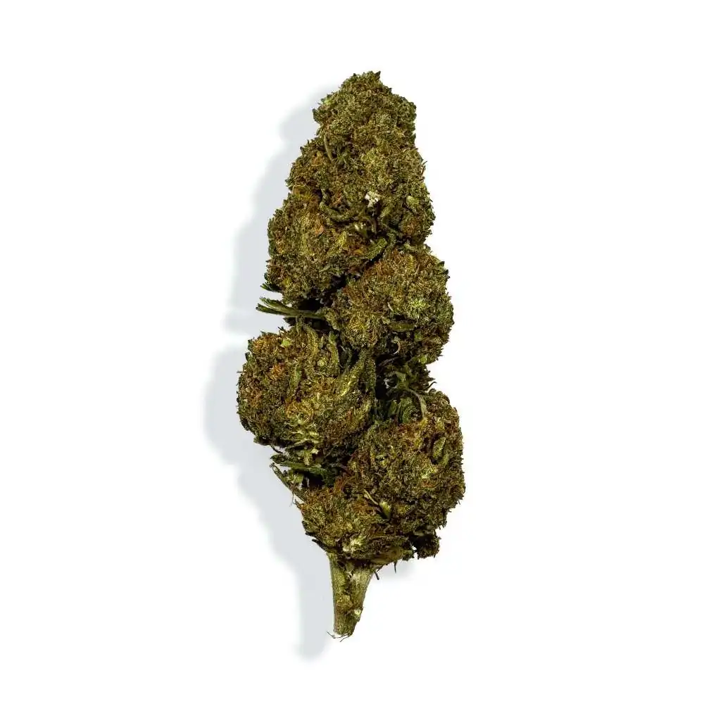 fleur de cbd blueberry