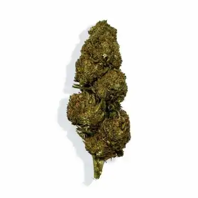 fleur de cbd blueberry