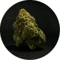 Fleur de CBD puissante en THC