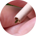 Stick CBD